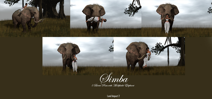 DenDen Poses - Simba 