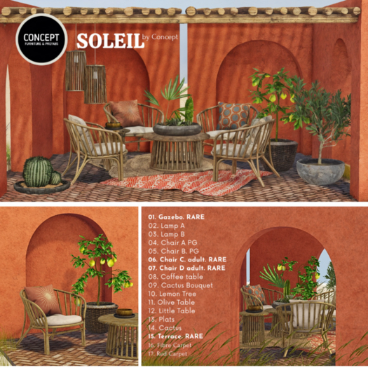 14. *CONCEPT. SOLEIL CACTUS