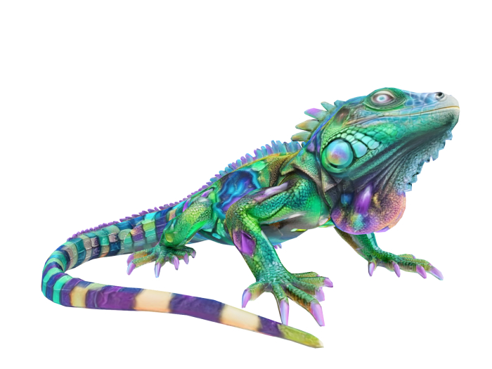 Iguana FULL PERM