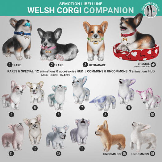 SEmotion Libellune Welsh Corgi Companion RARE 01