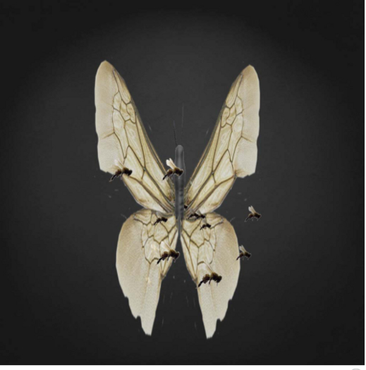 {Papillon} Fe/Sma/Fad/Zuu/Butterfly/Bees Cocoon