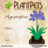 PlantPet Seed [Agapanthus *Blue*] common
