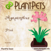 PlantPet Seed [Agapanthus *Pink*] common