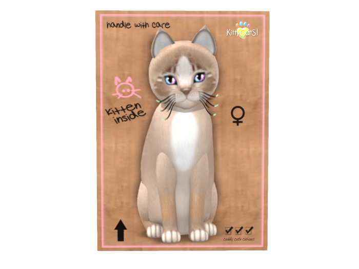 KittyCatS Box - 5T - F - Genesis - Mocha II