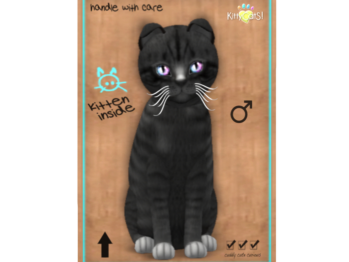 KittyCatS Box - 8T - M - Shabby Tabby - Midnight