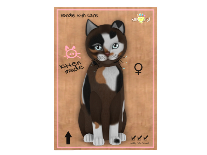 KittyCatS Box - 5T - F - Genesis - Patch II