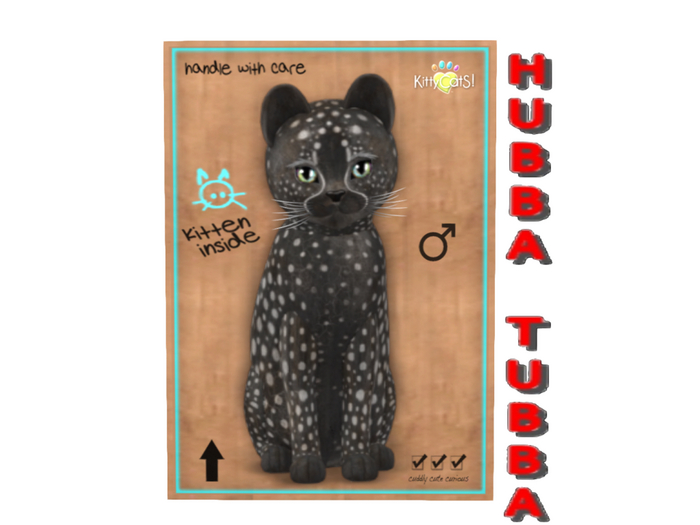 KittyCatS Box - NostalgiCatS! - Cheetah