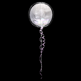 Wedding / Party Balloon