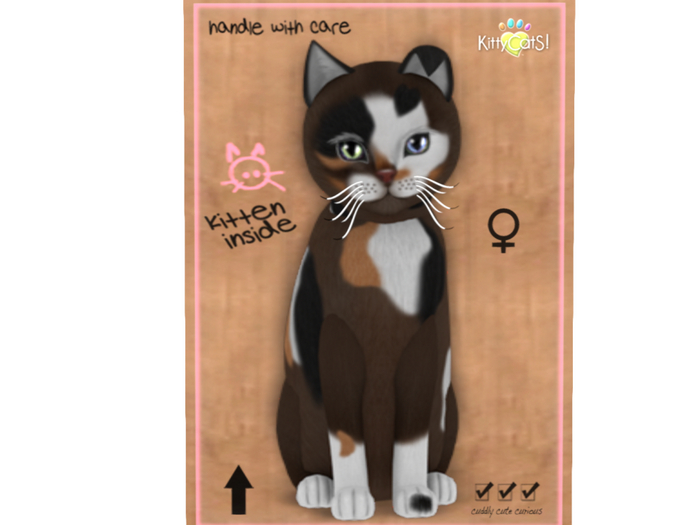 KittyCatS Box - 7T - F - Genesis - Patch II