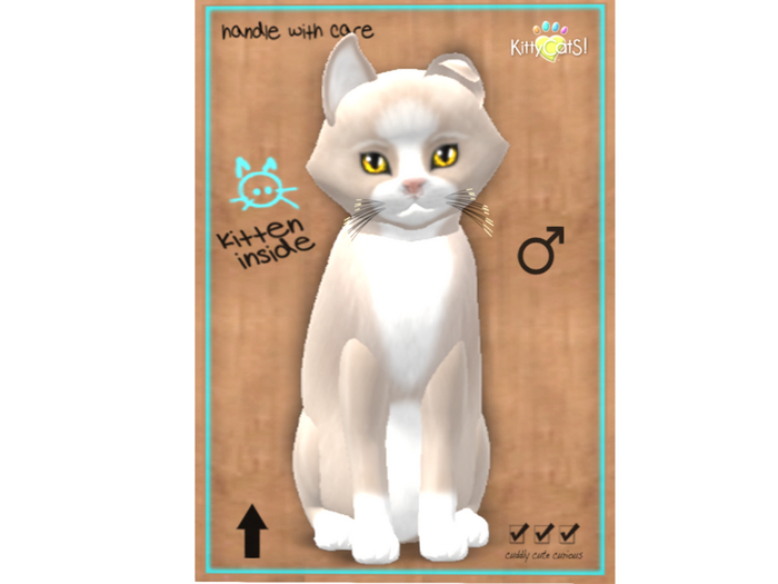 KittyCatS Box - 7T - M - Chateau Cat - Cocoa Puff No. 1