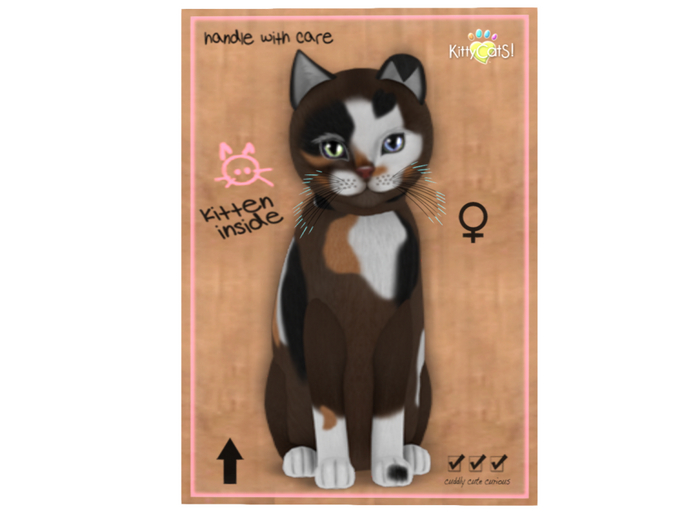 KittyCatS Box - 7T - F - Genesis - Patch II