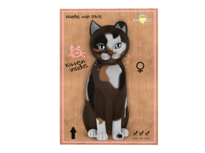 KittyCatS Box - 7T - F - Genesis - Patch II