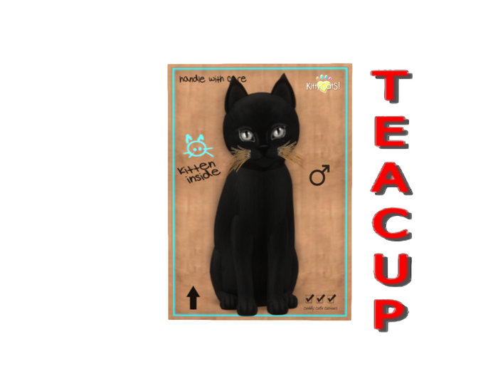 KittyCatS Box - 9T - M - Russian - Black - Teacup