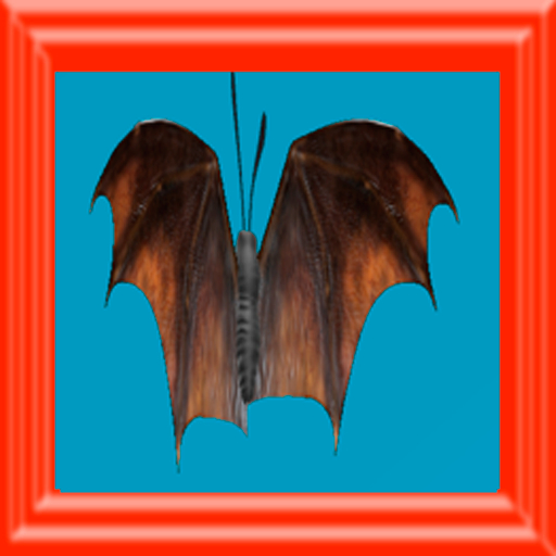 {Papillon} Ma/Mon/Nor/Zin/Butterfly/Bat Cocoon