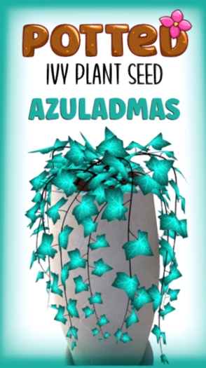 Potted: Ivy Seed: Azuladmas