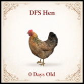 DFS Hen ACTUAL ITEM