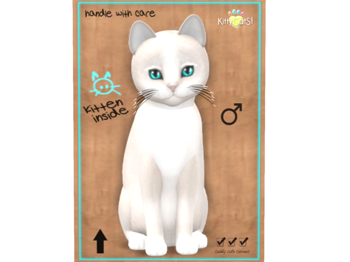 KittyCatS Box - Genesis - Pearl II