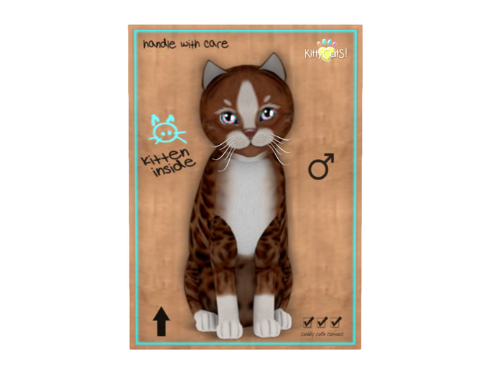 KittyCatS Box - Genesis - Ginger II