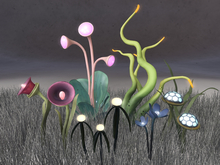 Night Garden Plants  - Bioluminescent - FATPACK 