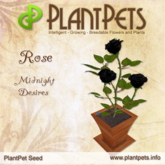 Plantpets Rose *Midnight Desires*Texture