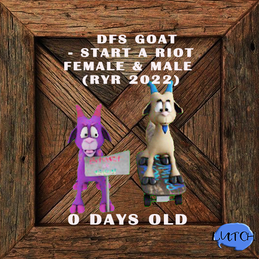 DFS Goat - Start a Riot Female & Male (RYR 2022)  RARE  ~ 0 Days Old