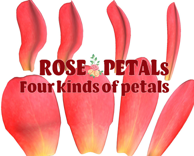 Rose Petal