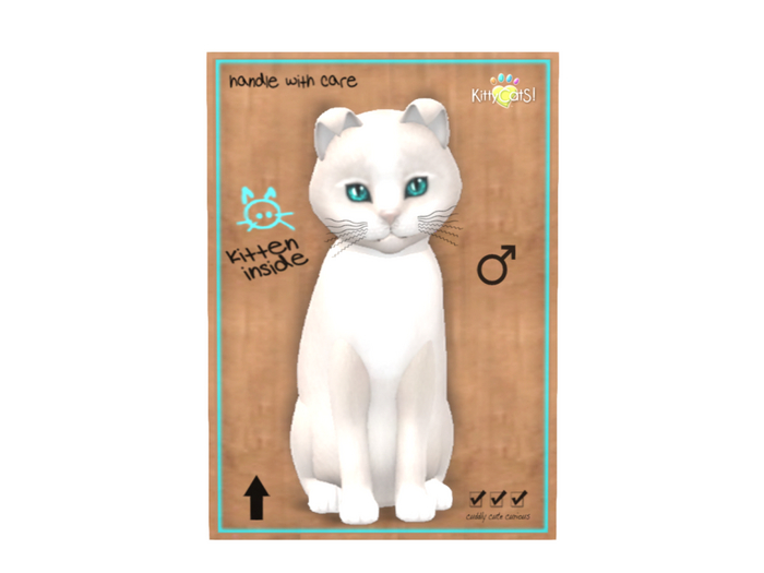 KittyCatS Box - 7T - M - Genesis - Pearl II