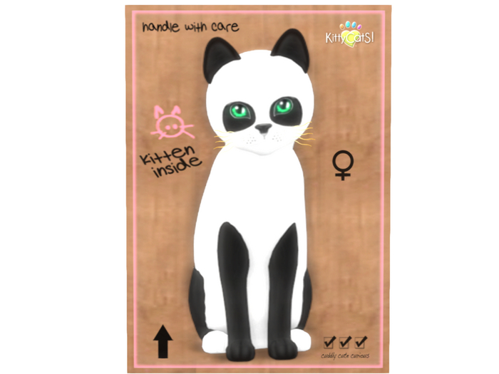 KittyCatS Box - Pandie - Ebony & Ivory