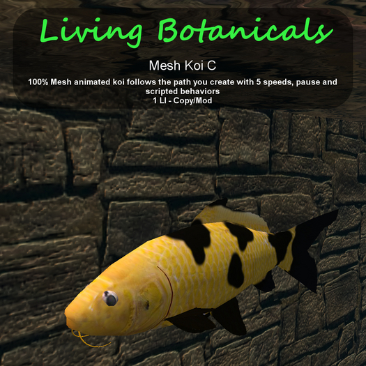 Inochi Botanicals - Koi C