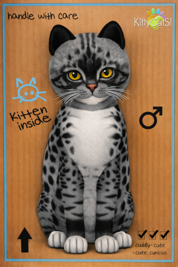 KittyCatS Box - Jermine