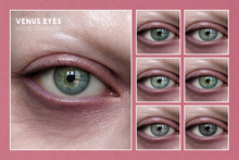 ZORA BEAUTY - VENUS EYES - EVOX/MESH/BOM - FULL PACK