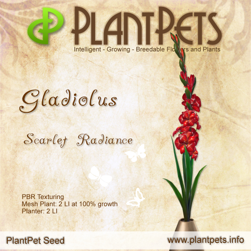 PlantPet Seed {[ladiolus *Scarlet Radiance*]