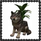 Wolf Planter Statue w Plant