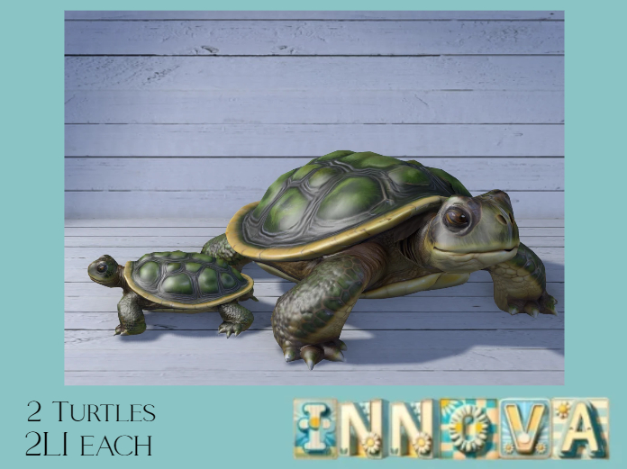 Innova - Turtle statue