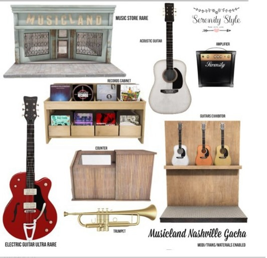 Serenity Style- Musicland Nashville Store RARE