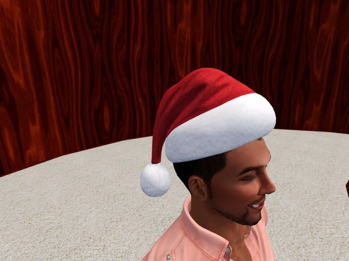 TM Christmas Hat