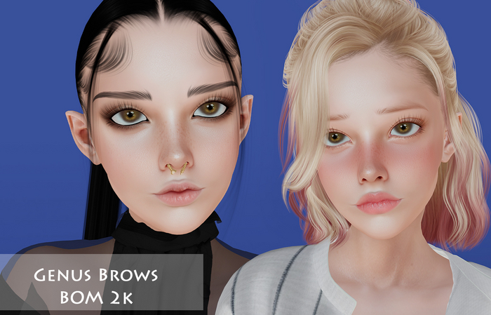 JojoStore - Genus Brows 2k