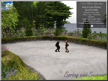 Roller Skate Park
