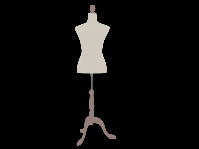 Mannequin torso