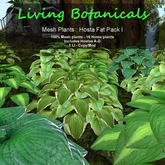 Inochi Botanicals - Mesh Plant "Hosta Fat Pack I"