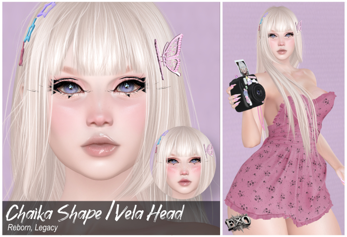 +EXO+ CHAIKA SHAPE EVOX