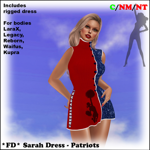 *FD* Sarah Dress [Boxed] Patriots