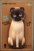 KittyCatS Box - Sia