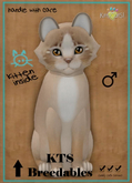 ♂  KittyCatS Box - MegaPuss — Genesis Mocha II | Bronze Eyes | 2T Male