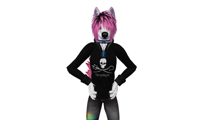 Sea Shepherd Hoodie - Boxed
