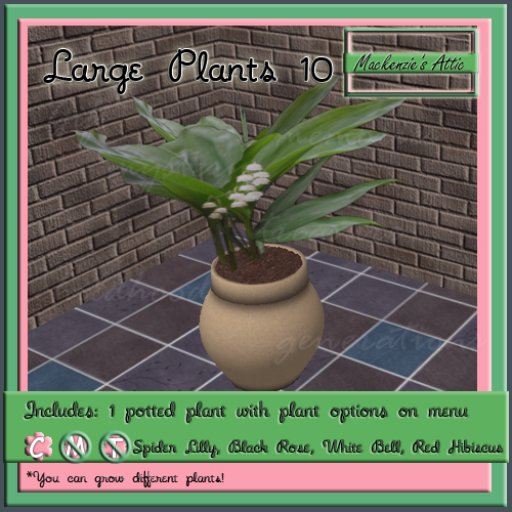 [M.A.] Misc Large  Potted Plants  10 (Boxed-Copy)