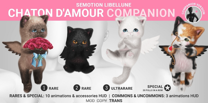 SEmotion Libellune Chaton DAmour Companion RARE 02