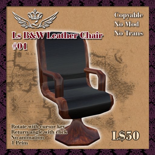 Ls B&W Leather Chair 01