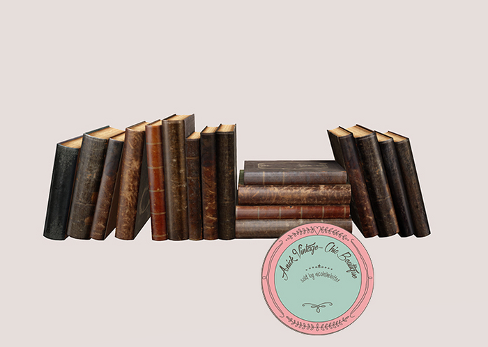18.erratic / coc - book stack I