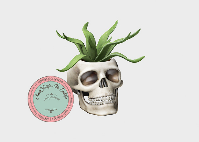 14.erratic / coc - skull planter